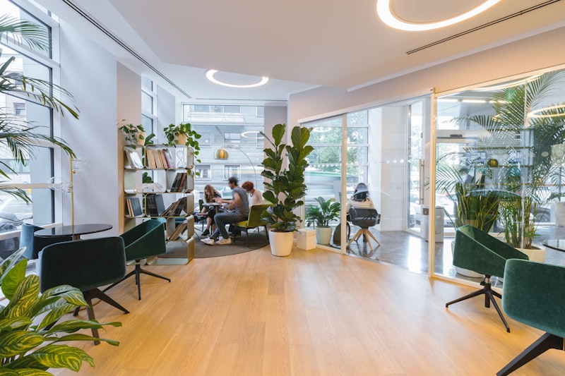 Drop Ceiling & Ceiling Systems